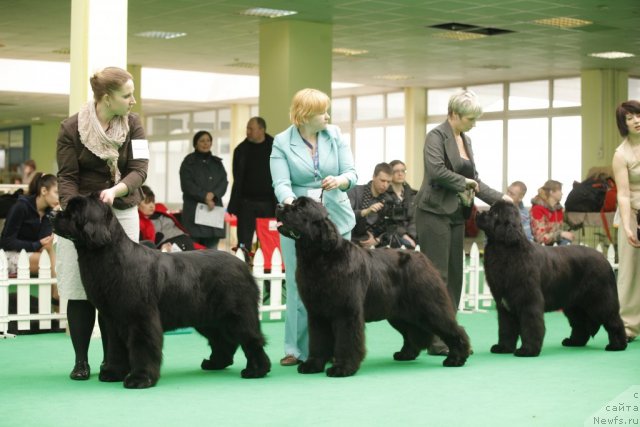 Фотография № 93779