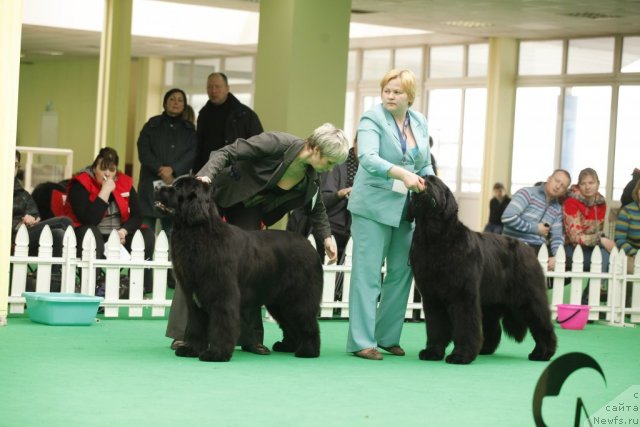 Фотография № 93780