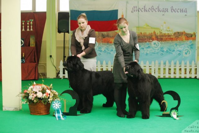 Фотография № 93781