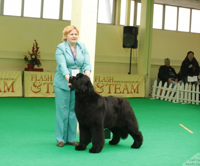 Фотография № 93783