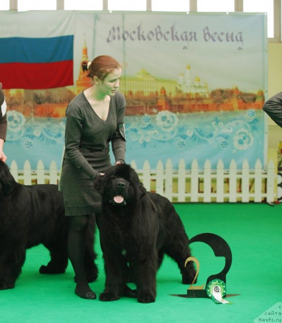 Фотография № 93784