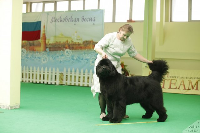 Фотография № 93792