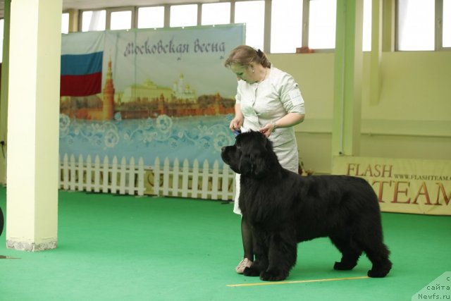 Фотография № 93793