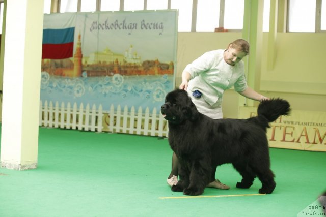 Фотография № 93794