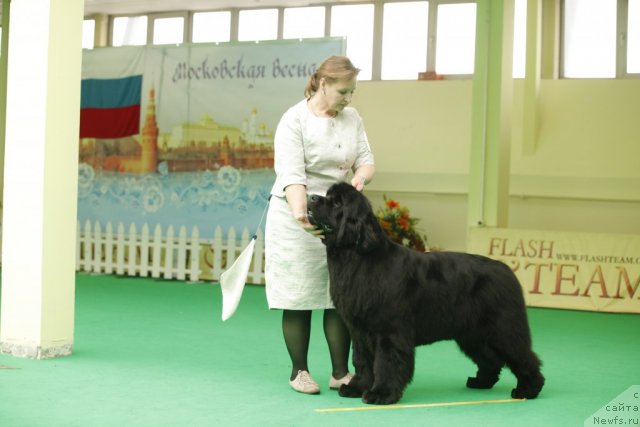 Фотография № 93795