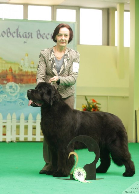 Фотография № 93796