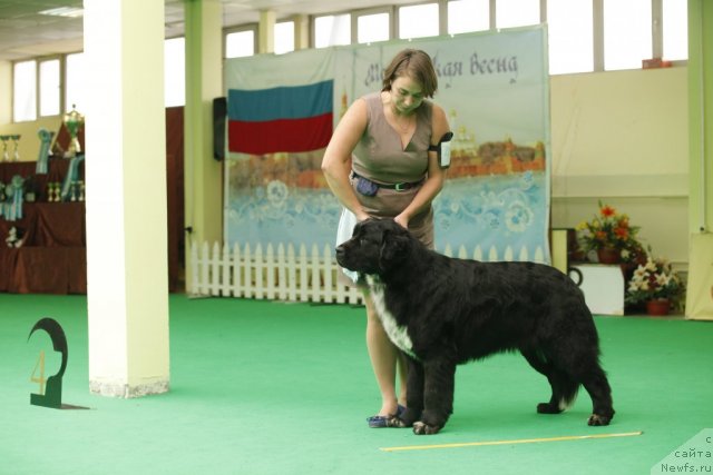 Фотография № 93797