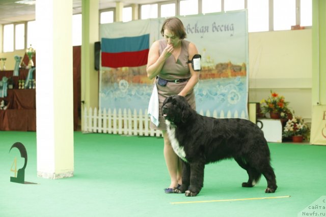 Фотография № 93798