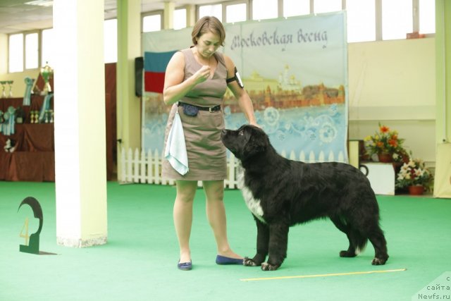 Фотография № 93799