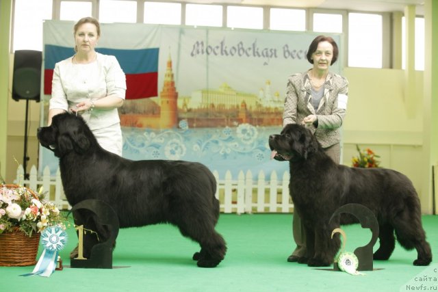 Фотография № 93801