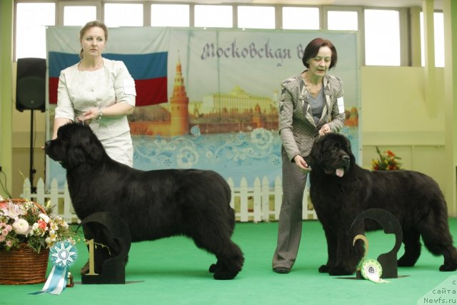 Фотография № 93802