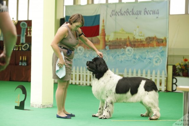 Фотография № 93803