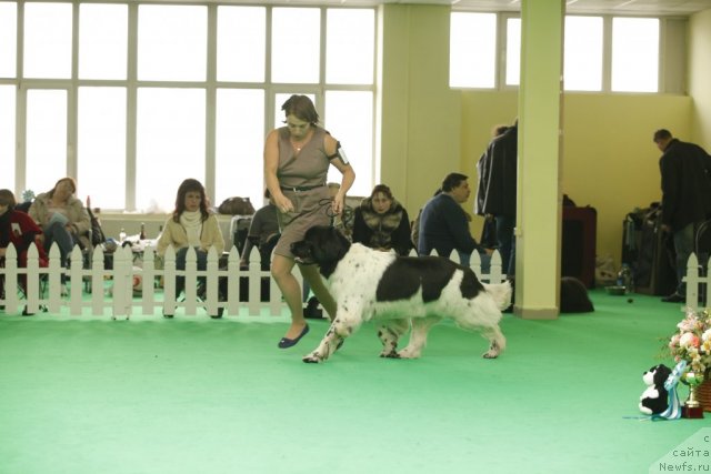 Фотография № 93806