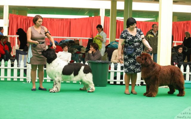 Фотография № 93807