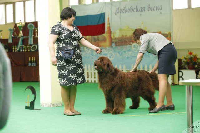 Фотография № 93808