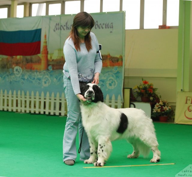 Фотография № 93813