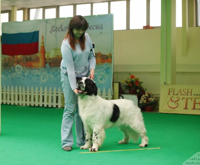 Фотография № 93814