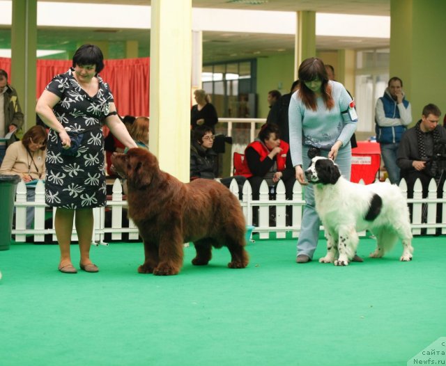 Фотография № 93815