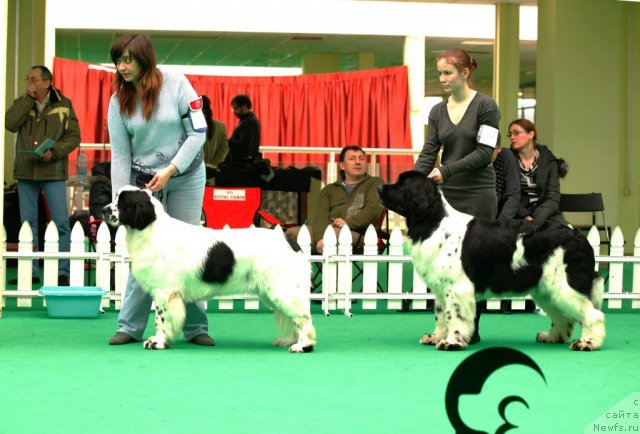 Фотография № 93816