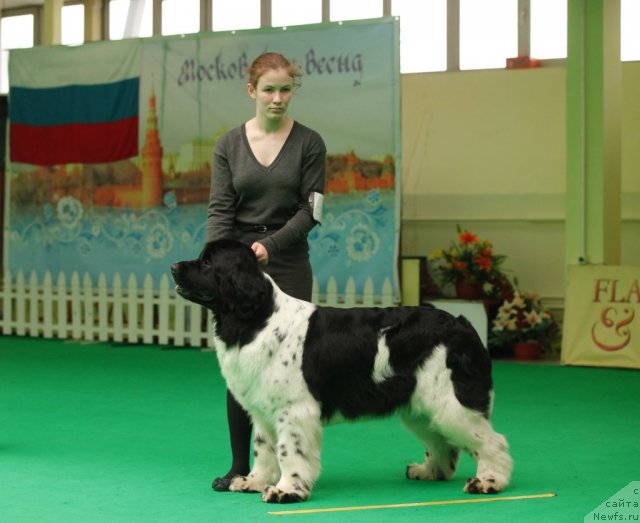 Фотография № 93817