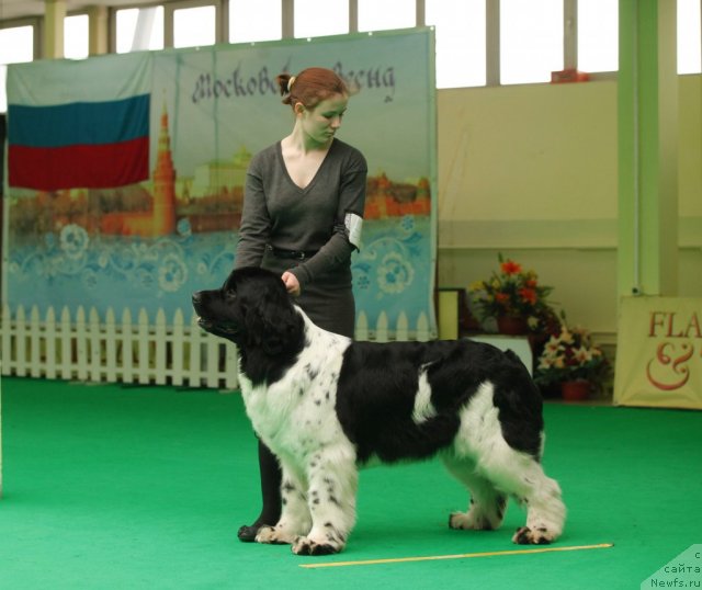 Фотография № 93818