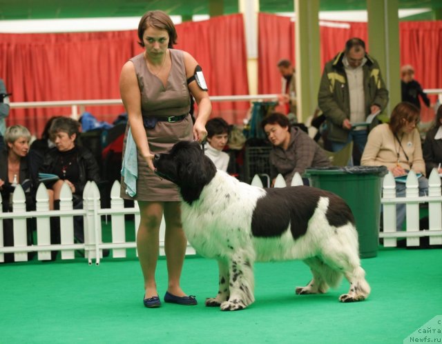 Фотография № 93820