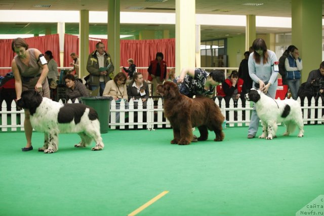 Фотография № 93821