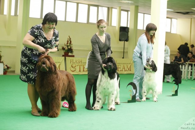 Фотография № 93822