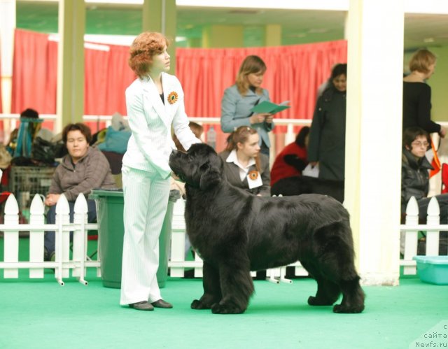 Фотография № 93823