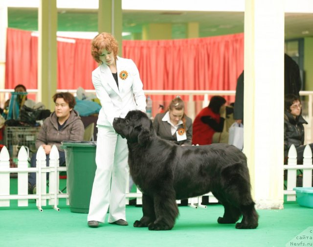 Фотография № 93824