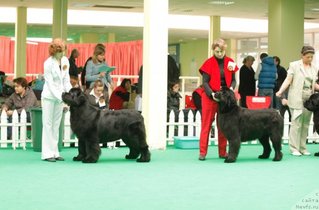 Фотография № 93825