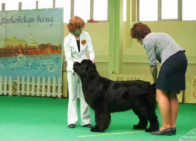 Фотография № 93826