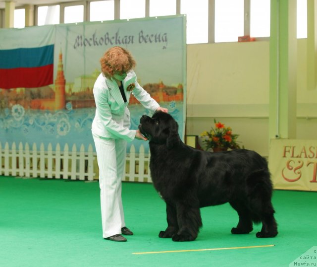 Фотография № 93828