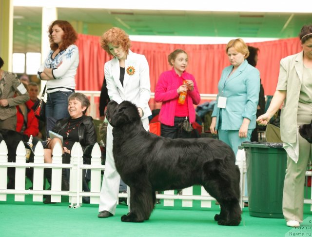 Фотография № 93829