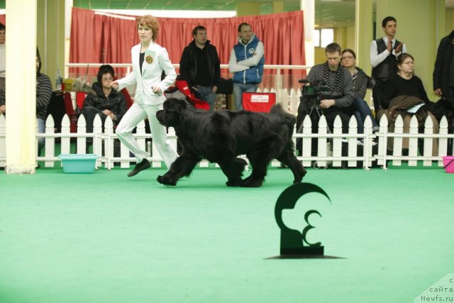 Фотография № 93831