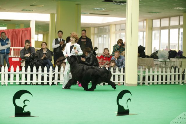 Фотография № 93832