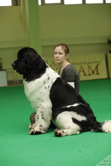 Фотография № 93834