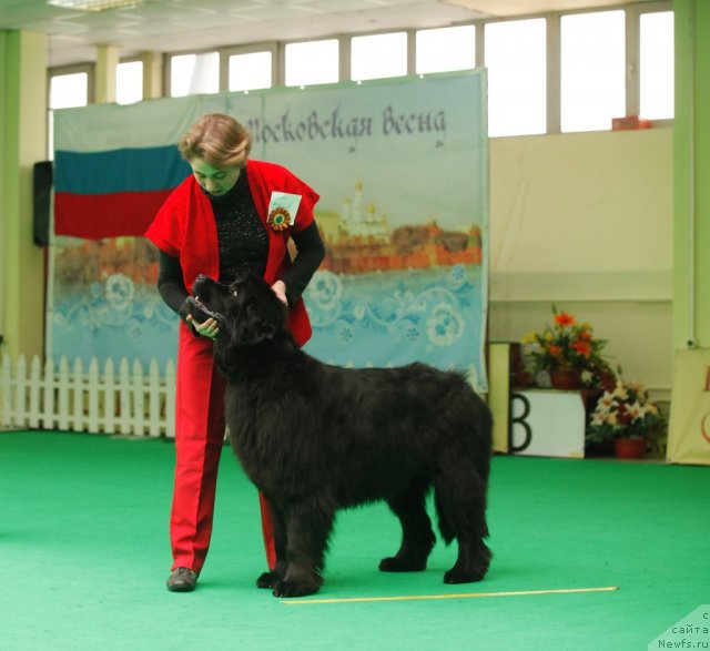 Фотография № 93837