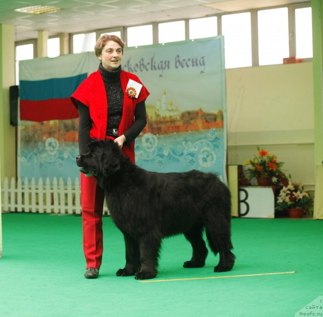 Фотография № 93838