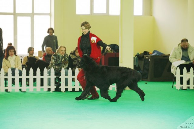 Фотография № 93839