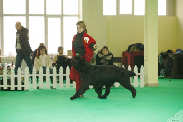 Фотография № 93840