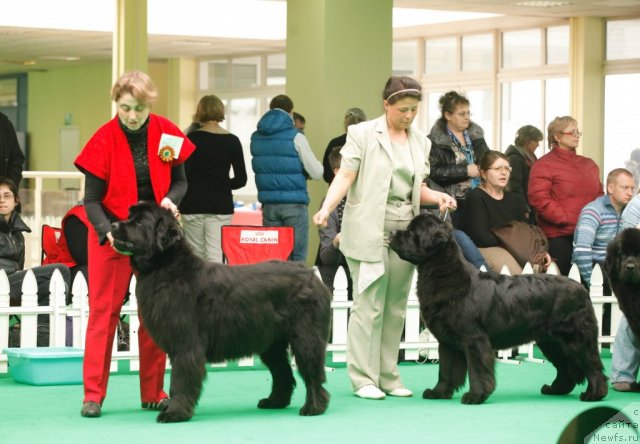 Фотография № 93841