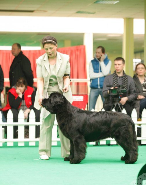 Фотография № 93842