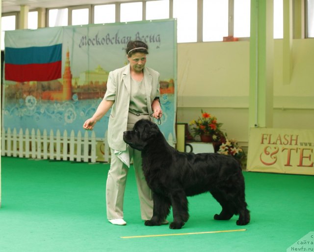 Фотография № 93843