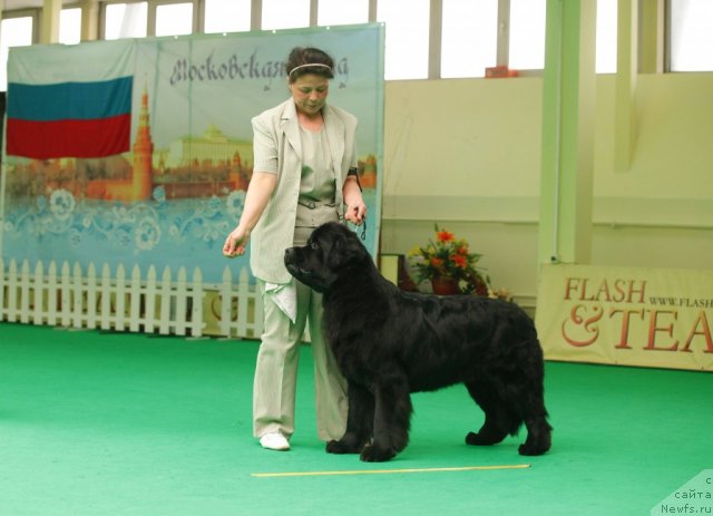 Фотография № 93845