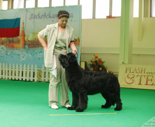 Фотография № 93846