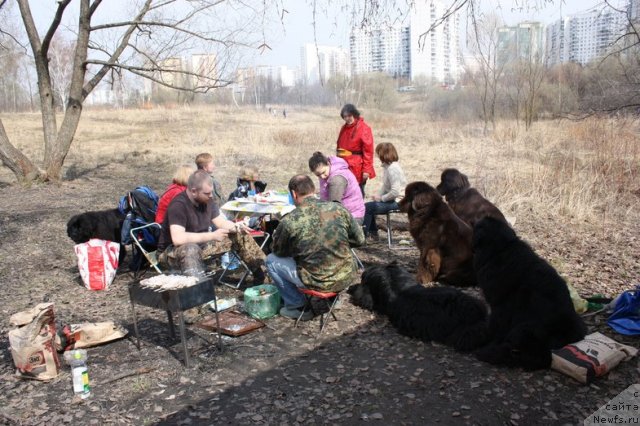 Фотография № 93847