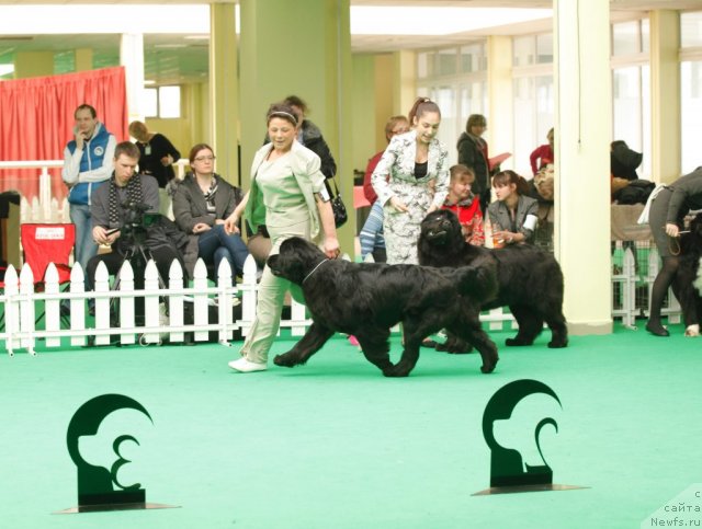 Фотография № 93848