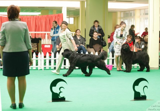 Фотография № 93850