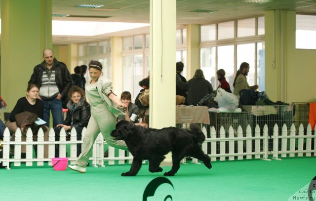 Фотография № 93852